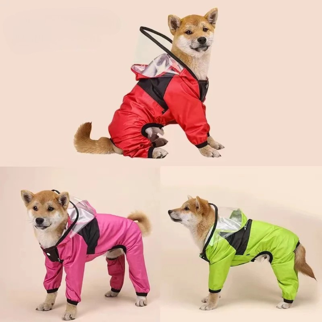 Mora Hund Regen Schutz